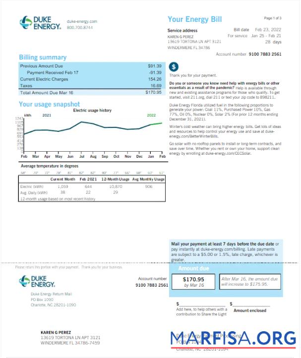 Realistic USA DUKE ENERGY utility bill Word and PDF template, version 2